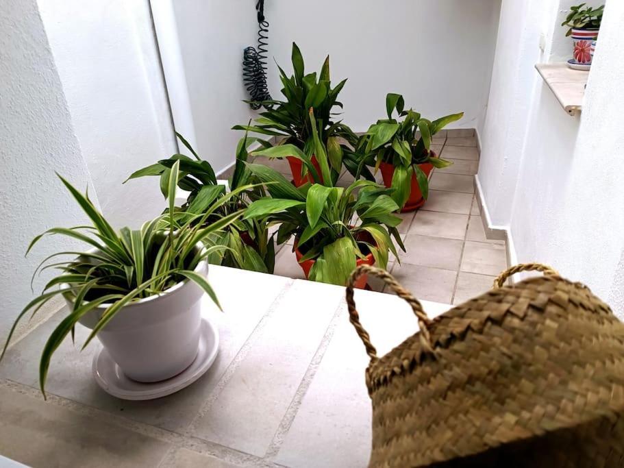 Apartamento Alberzana - Barrio Albaicin - Granada Exterior foto